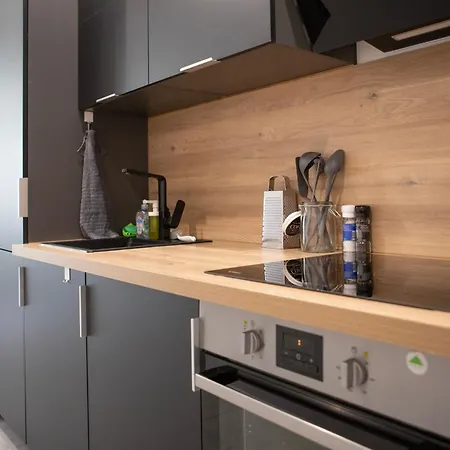 Apartment Le Mulhousien/ Parking Gratuit / Wifi / Lave Linge/ Tudors Locations Mulhouse