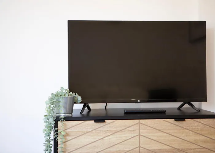 Le Mulhousien/ Parking Gratuit / Wifi / Lave Linge/ Tudors Locations *