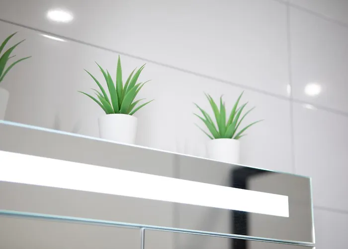 Le Mulhousien/ Parking Gratuit / Wifi / Lave Linge/ Tudors Locations