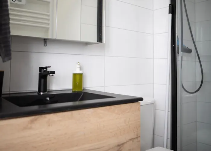 Apartment Le Mulhousien/ Parking Gratuit / Wifi / Lave Linge/ Tudors Locations *