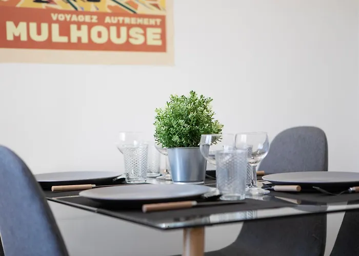 Le Mulhousien/ Parking Gratuit / Wifi / Lave Linge/ Tudors Locations *