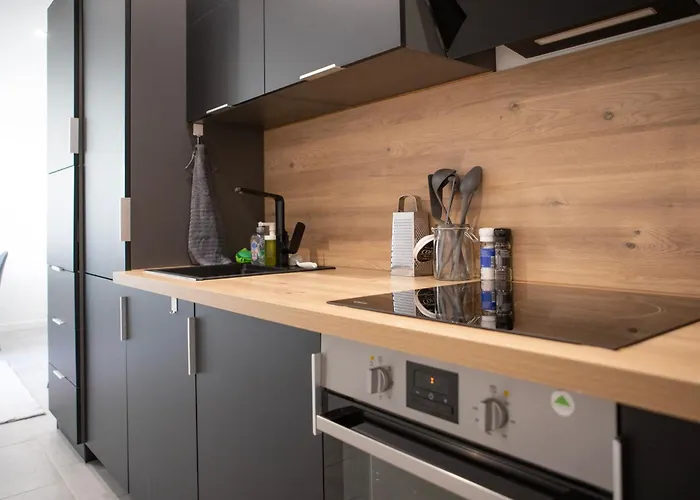 Apartment Le Mulhousien/ Parking Gratuit / Wifi / Lave Linge/ Tudors Locations Mülhausen