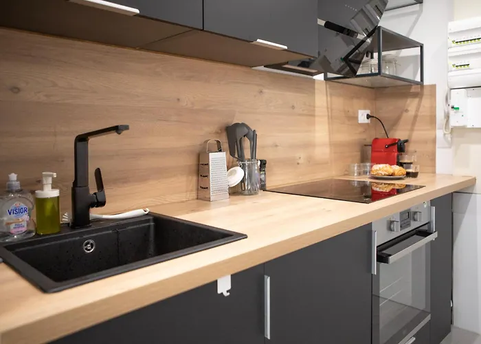 Le Mulhousien/ Parking Gratuit / Wifi / Lave Linge/ Tudors Locations *