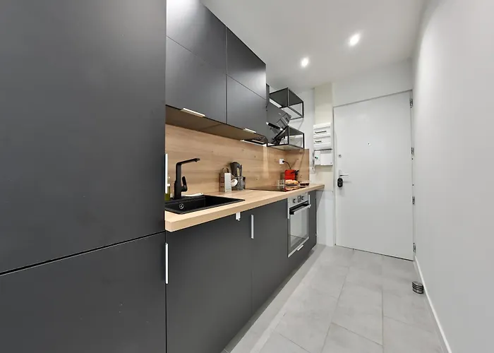 Le Mulhousien/ Parking Gratuit / Wifi / Lave Linge/ Tudors Locations Apartment *