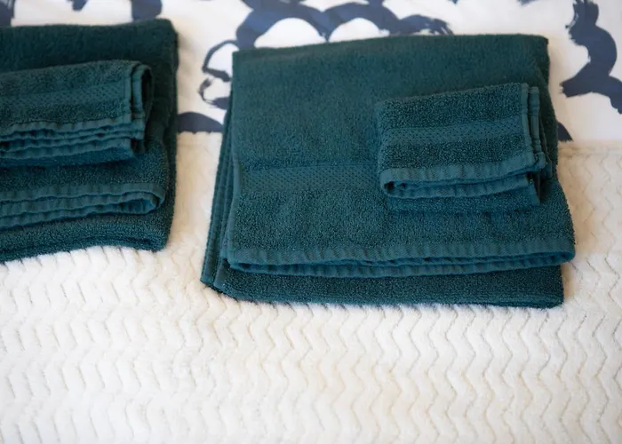 Le Mulhousien/ Parking Gratuit / Wifi / Lave Linge/ Tudors Locations * Mülhausen