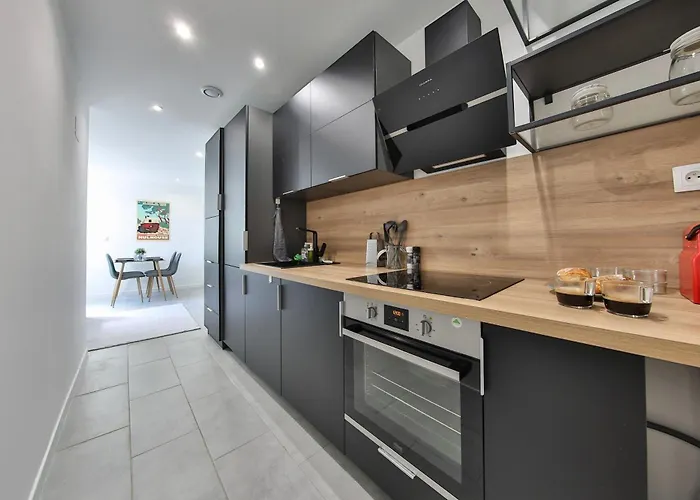 Le Mulhousien/ Parking Gratuit / Wifi / Lave Linge/ Tudors Locations Mülhausen